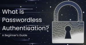 What is passwordless-authentication